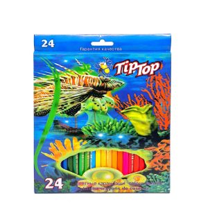 مداد رنگی 24 رنگ مقوایی Tip Top (6 بسته)
